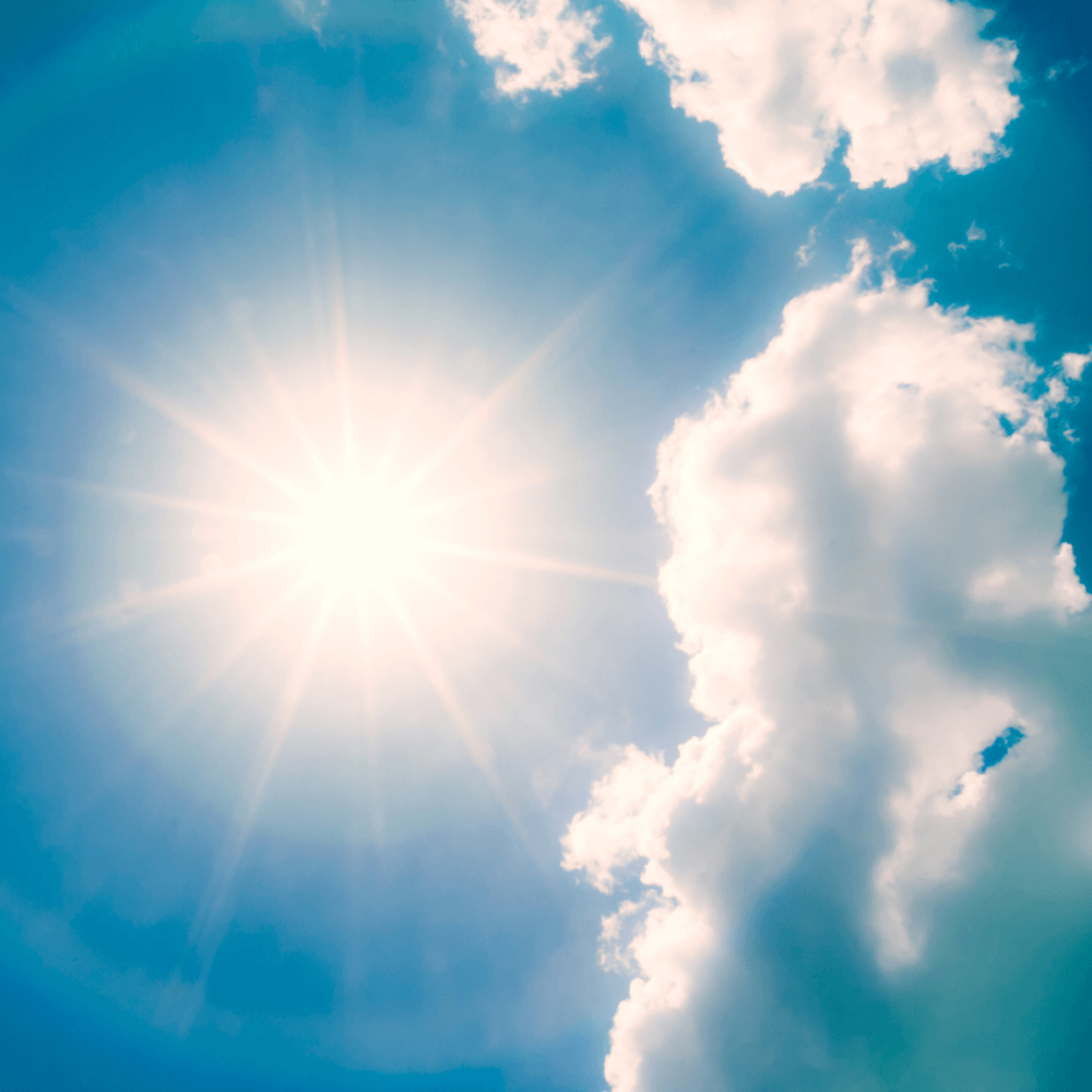 Vitamin D is one of the ingredients used by Revvl Health to support sleep, immune function, energy levels, focus, and more. While we can't bottle sunshine, vitamin D supplements can support the body when less sunlight is available.