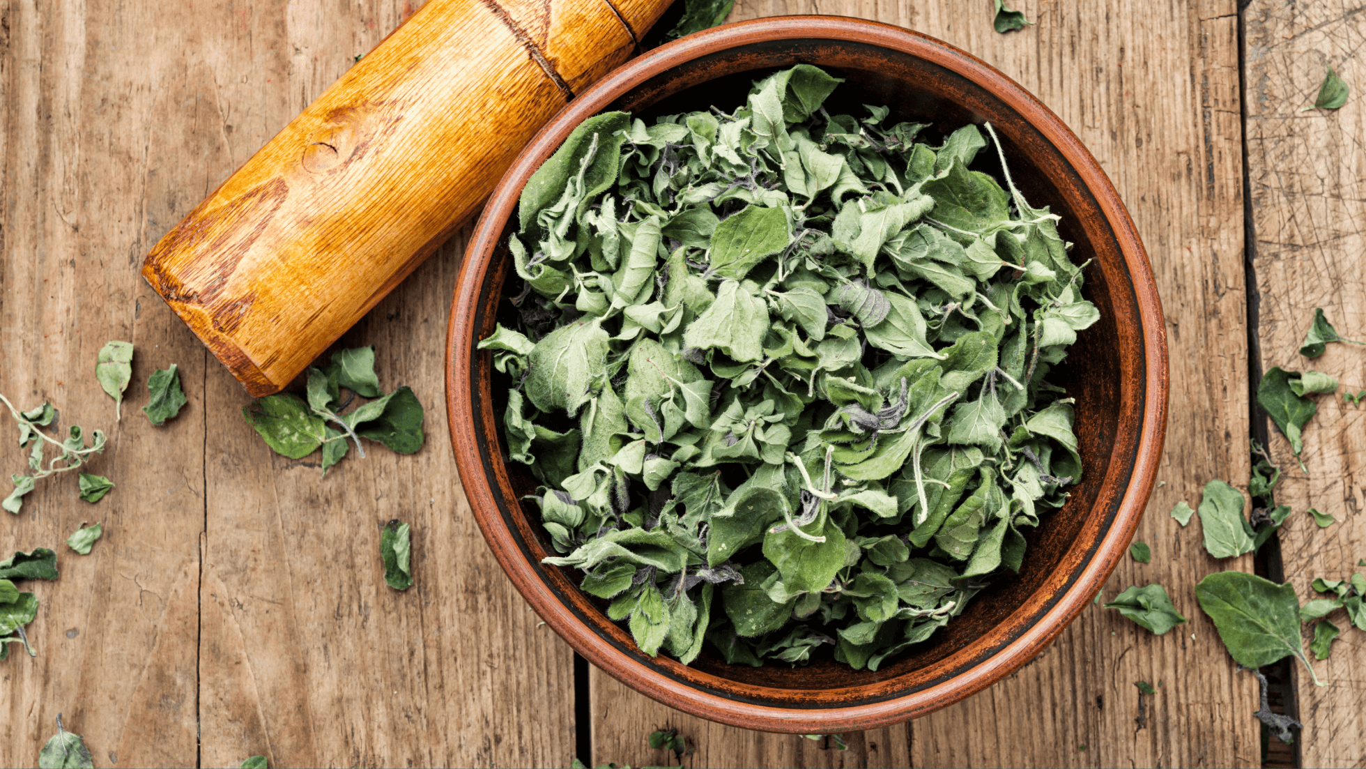 The Immune-Boosting Power of Oregano