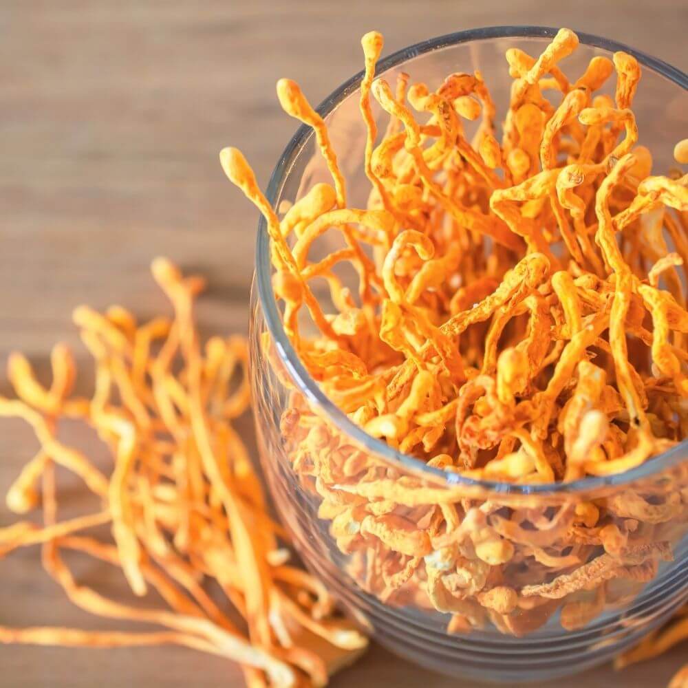 Cordyceps sinesis is one of the favorite ingredients in Revvl Restore. This adaptogenic mushroom is known in natural health circles for its stress support benefits, energy support benefits, and impact on focus levels. 